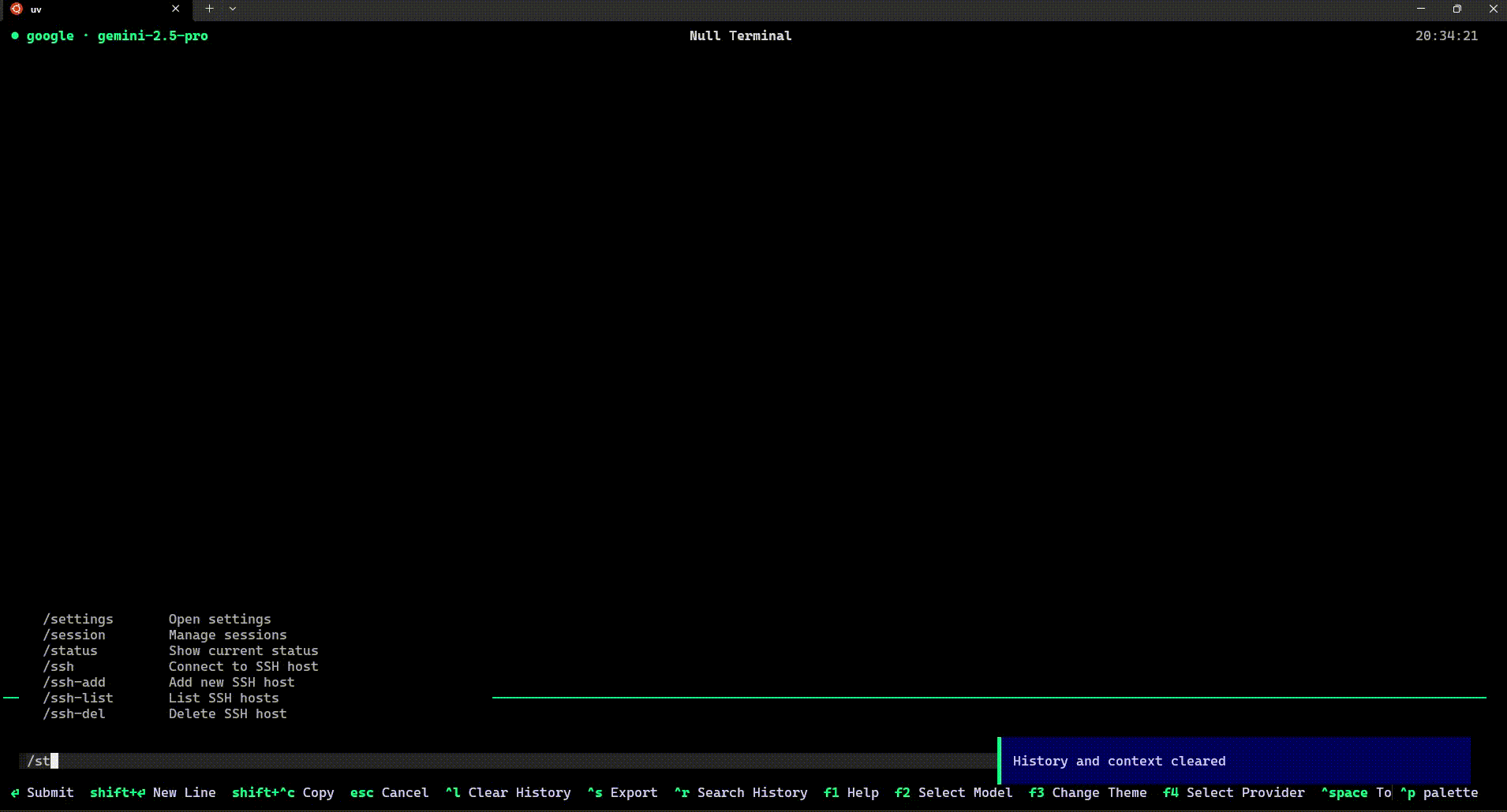 Null Terminal Demo